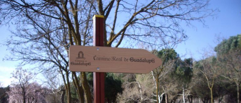 Camino Real de Guadalupe